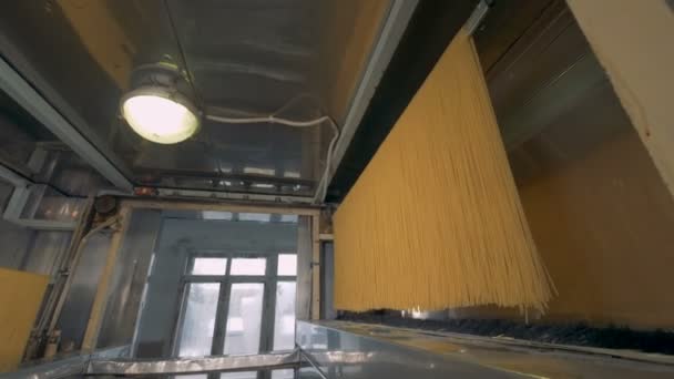 Vermicelli is bewegen op een vlucht conveyer. — Stockvideo