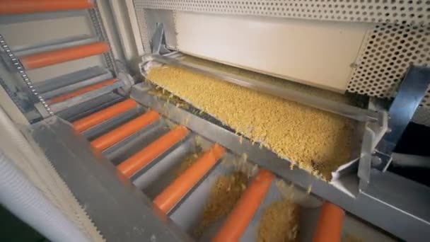 Spaghetti werden auf einem Förderband geschüttelt und auf ein Band fallen gelassen. — Stockvideo