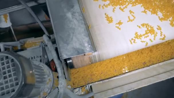 Spaghetti sta cadendo da una cintura larga a uno stretto teletrasporto in rapido movimento e viene spostato verso l'alto . — Video Stock