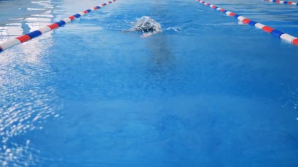 Prise de vue au ralenti avant d'un nageur faisant un coup de rampement . — Video