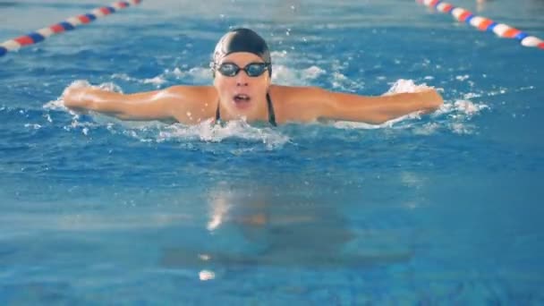 Una nadadora se mueve con la cabeza dentro y fuera del agua . — Vídeos de Stock