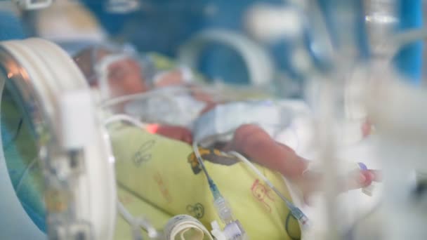 Onherkenbaar pasgeboren prematuur baby in een incubator. 4k. — Stockvideo