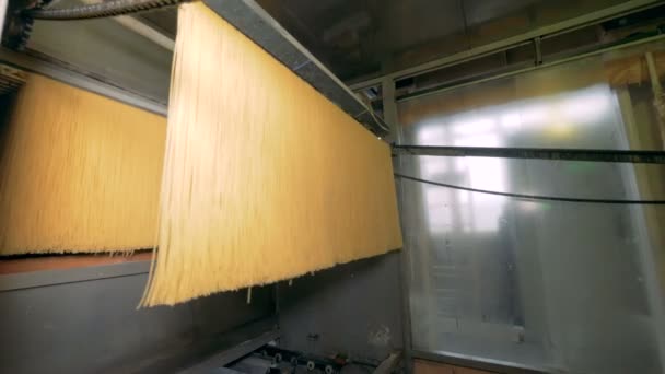 Ruwe spaghetti bewegen op een transportband in een pasta fabriek. — Stockvideo