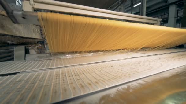 Przechodząc przez przenośnik w fabryce makaronu spaghetti surowy. 4k. — Wideo stockowe