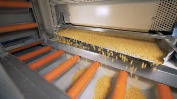 Linia do produkcji fabryki. Makaron, makarony są sortowane na przenośnik produktów spożywczych. — Wideo stockowe