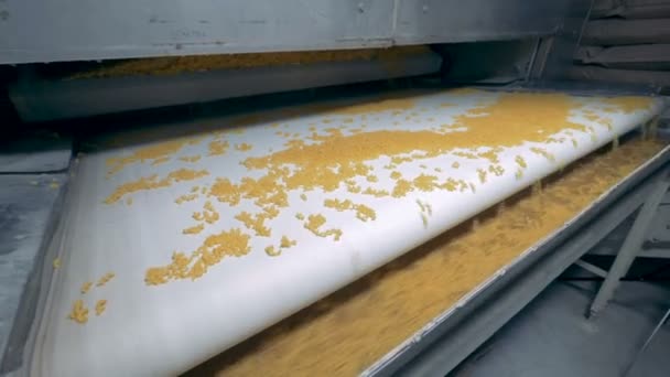 Μακαρόνια, γραμμή παραγωγής εργοστάσιο ζυμαρικών. — Αρχείο Βίντεο