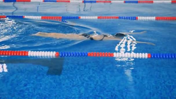 Ένα θηλυκό κολυμβητής κινείται κάτω από την επιφάνεια του νερού. — Αρχείο Βίντεο