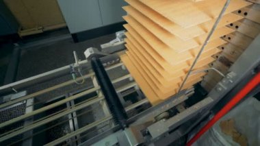 Waffle üretim hattı. Şekerleme fabrikası.