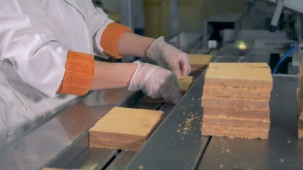 Female worker puts fresh cookies waffles on a conveyor. — Stock Video