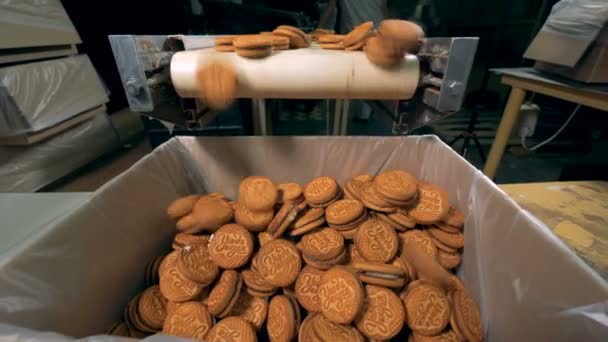 Las cookies caen del transportador en el paquete . — Vídeos de Stock