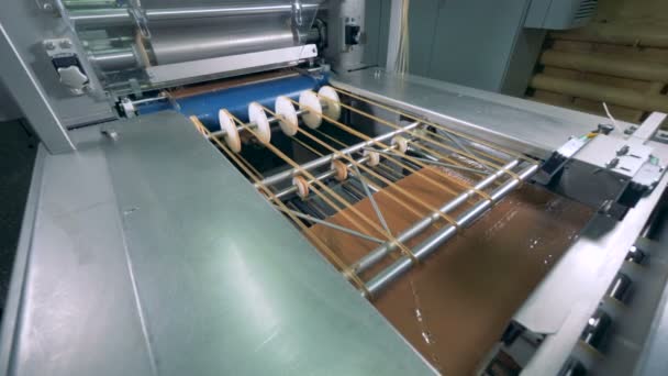 Sweet waffles manufacturing line. Food industry concept. — Stock Video