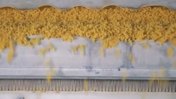 Livsmedelsproduktionen av pasta eller nudlar på matfabriken. — Stockvideo