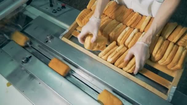 Baker zet beschuitbollen op de transportband. — Stockvideo