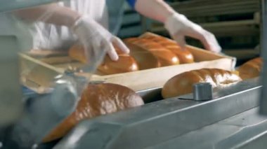 Uzun somun ekmek ambalajlanacak konveyör konur.
