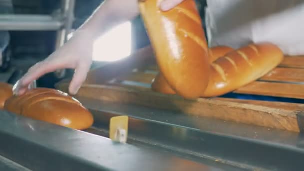 На конвейер кладут длинные булки хлеба, крупным планом . — стоковое видео