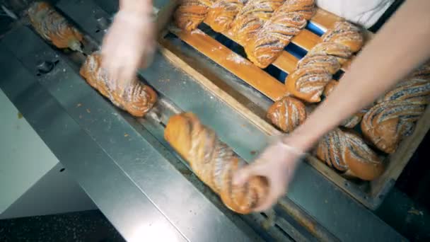 Tatlı ekmek konur yukarıdan konveyör üzerinde göster. — Stok video