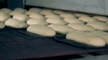 Tepsiler çiğ ekmek ile konveyör, Sağdan Görünüm taşıyorsanız, yakın çekim.