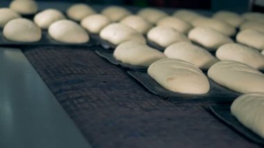 Çiğ ekmek, taze hamur endüstriyel fırın içine gider..
