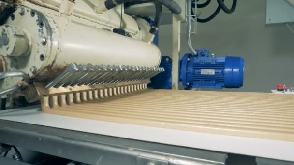 Máquina de fabricación de caramelos en proceso de trabajo — Vídeo de stock