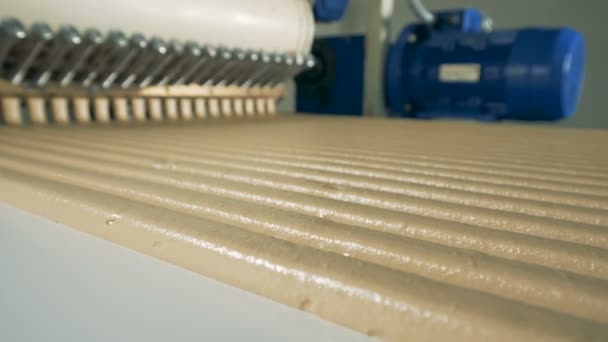 Sweets rows running down from a working conveyor. 4K. — Stock Video