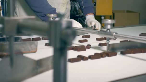 Deux ouvriers d'usine trient les bonbons au chocolat — Video