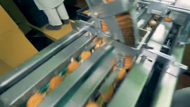 I biscotti vengono completati da una macchina di fabbrica funzionante — Video Stock