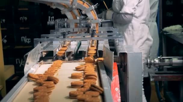 Biscoitos prontos estão se movendo ao longo da correia depois de serem retirados do transportador — Vídeo de Stock