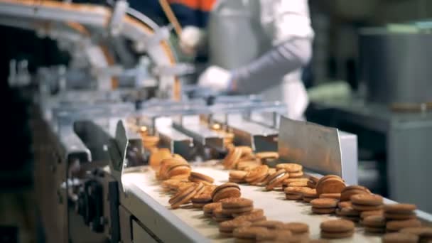 Las cookies están bajando por la cinta transportadora de una máquina de fábrica con los trabajadores en el fondo 4K . — Vídeos de Stock