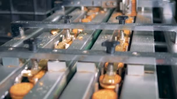 Las cookies se mueven rápidamente desde el transportador hasta la cinta de las máquinas en un primer plano 4K . — Vídeos de Stock
