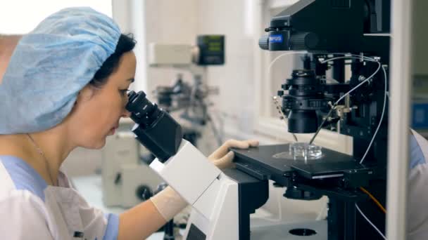 Microbiologa donna scienziata che lavora al microscopio. 4K . — Video Stock