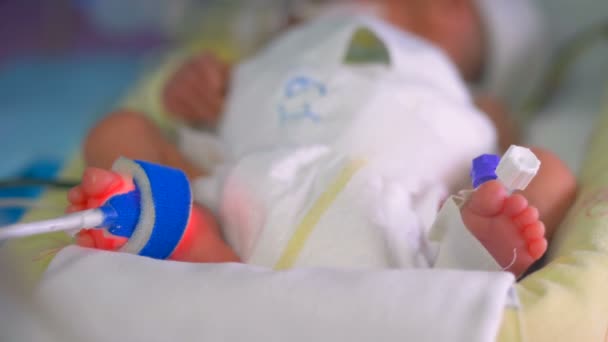 Pasgeboren baby in een incubator. Intensieve ziekenhuis therapie: Ccu, Icu, Itu. — Stockvideo