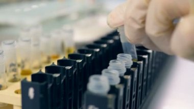 Bilim adamı şişeleri virüs örnek koymak. Mikrobiyoloji bilim kavramı.