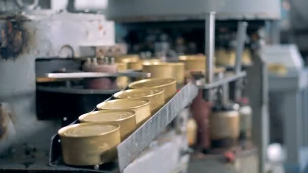Cans are moving on the narrow conveyor line and fall down, close up. — Stock Video