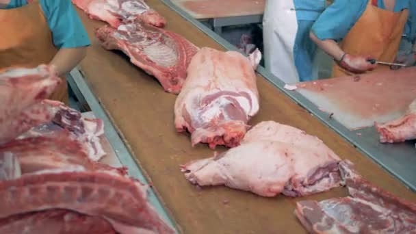 Rzeźnik są umieszczenie połówki tuszy mięsa na pas i ostrzenie noży. — Wideo stockowe