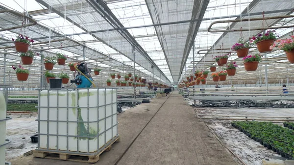 Bir koridor Saksı bitkileri için büyük bir sera içinde. 