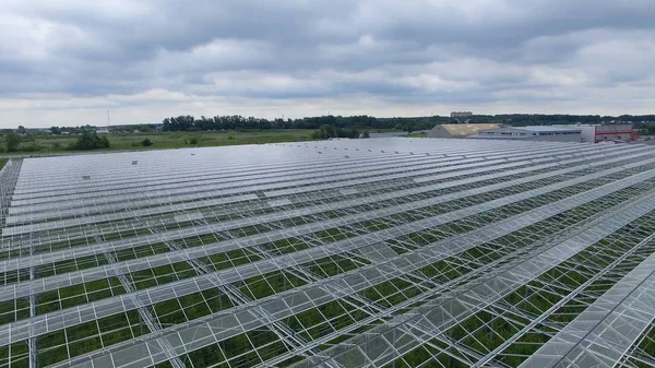 Büyük çiçek çocuk odası ridged çatısı.