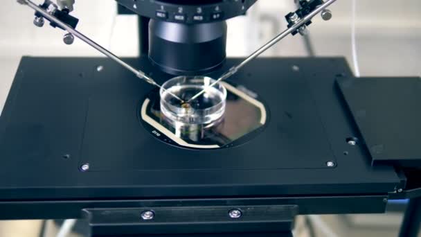 Microscopio moderno. Nessuna gente. Primo piano di un oggetto adagiato su un pannello di un microscopio e dei suoi oculari — Video Stock