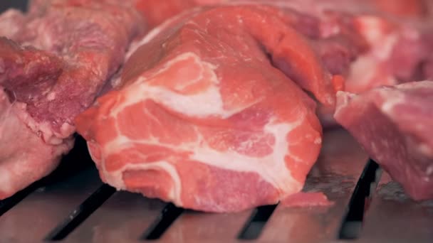 Close up van grote vlees platen wordt verplaatst langs een fabriek gordel — Stockvideo