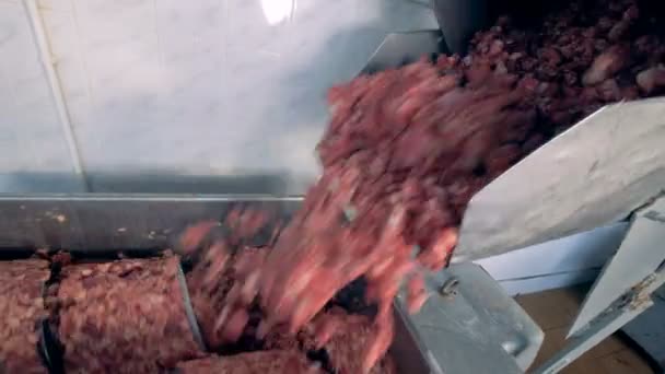 Small pieces of meat are getting dropped from a container to a working stirring machine — Stock Video