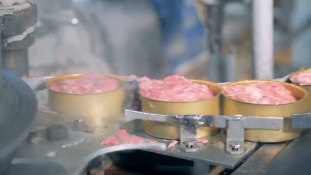 Latas de lata cheias de carne estão se movendo ao longo da correia transportadora — Vídeo de Stock
