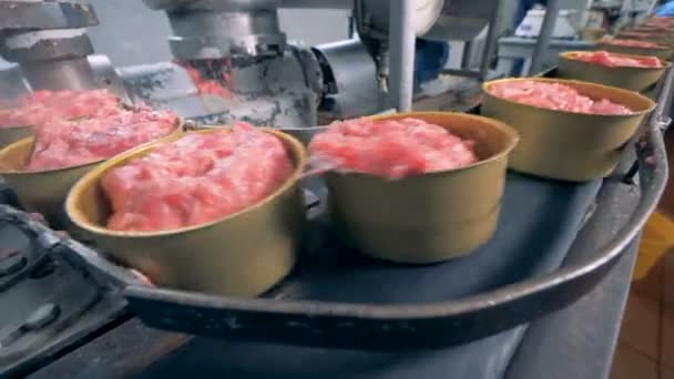 Nahaufnahme von mit Fleisch gefüllten Blechdosen, die sich über das Förderband bewegen — Stockvideo