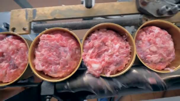 Vista superior de la carne en latas que recorren la cinta transportadora y se cierran — Vídeo de stock