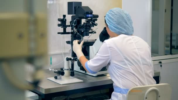 Unrecognizable female scientist working with a microscope at modern laboratory. — Stock Video