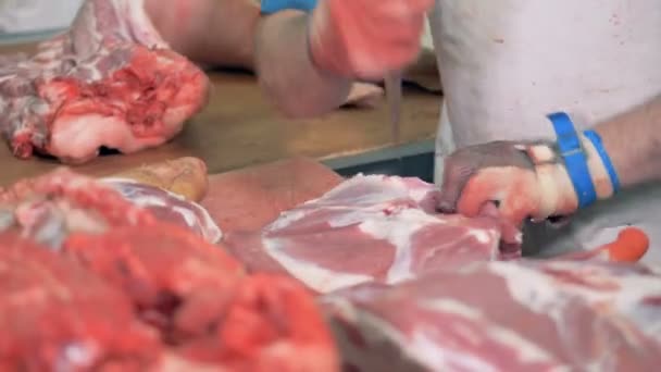 Un carnicero está cortando trozos pequeños de una canal de carne. — Vídeo de stock