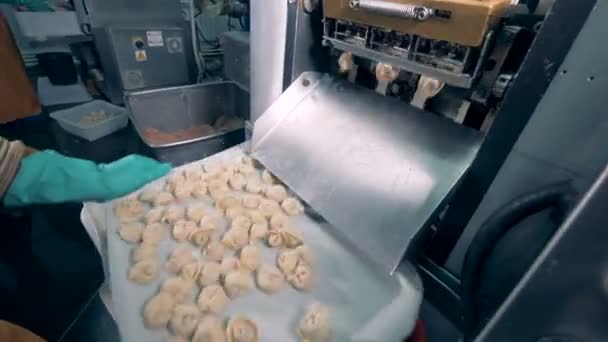 Vlees dumplings vallen van een machine fabriek op een dienblad waar een werknemer is te schudden ze — Stockvideo