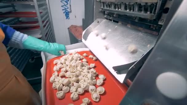 Uma bandeja está sendo preenchida com bolinhos de carne e, em seguida, está sendo colocada em uma gaveta — Vídeo de Stock
