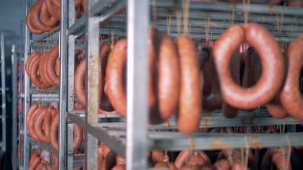 Des saucisses fumées et des bâtonnets de saucisses sont suspendus dans une salle de stockage — Video