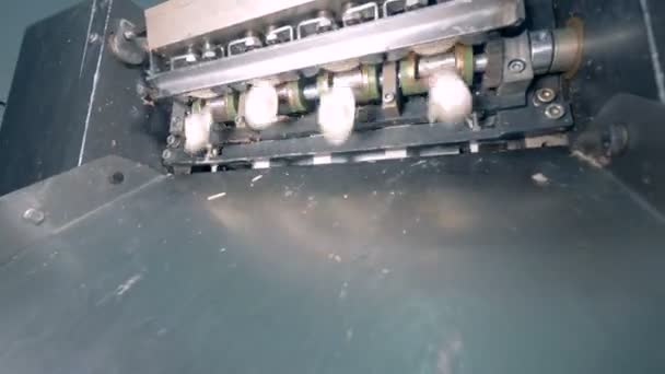 Fleischklößchen werden auf ein Tablett geworfen, das sich in einem Behälter befindet und später entfernt wird — Stockvideo