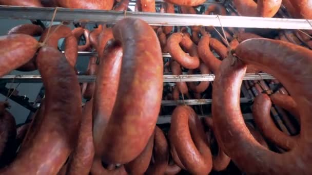 Крупноформатные кадры копченых колбас, привязанных и свисающих с металлической перекладины — стоковое видео