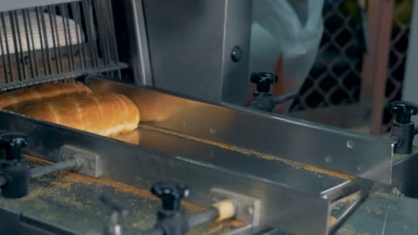 De arbeider verwijdert gesneden lange brood van de transportband. — Stockvideo